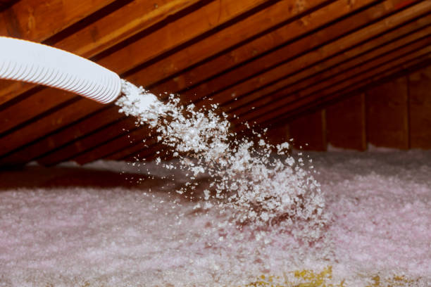 Types of Insulation We Offer in Mount Olive, NC