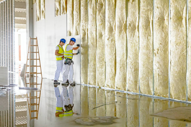 Best Insulation for Specific Applications in Mount Olive, NC